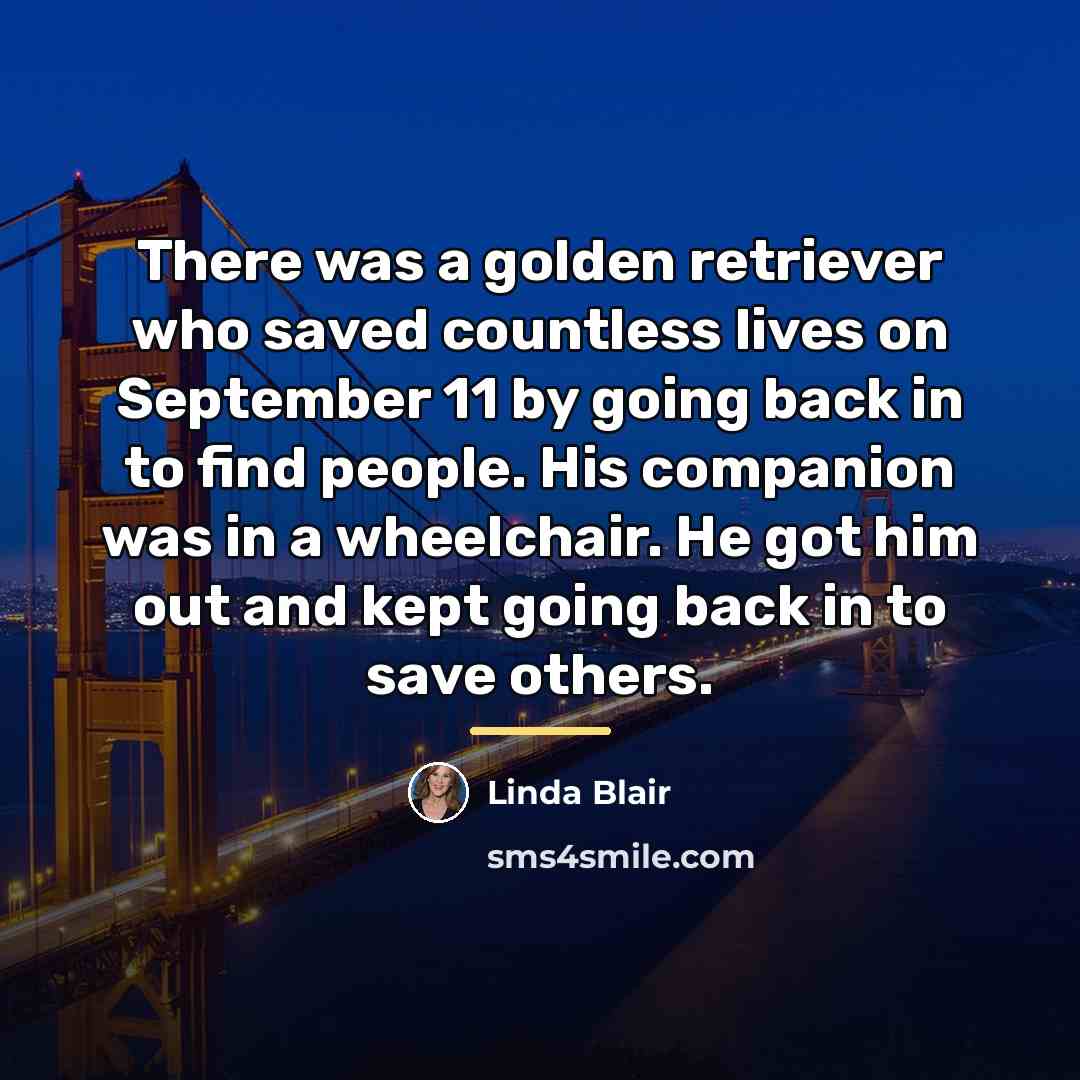 “There was a golden retriever who saved countless lives on…” quote by Linda Blair