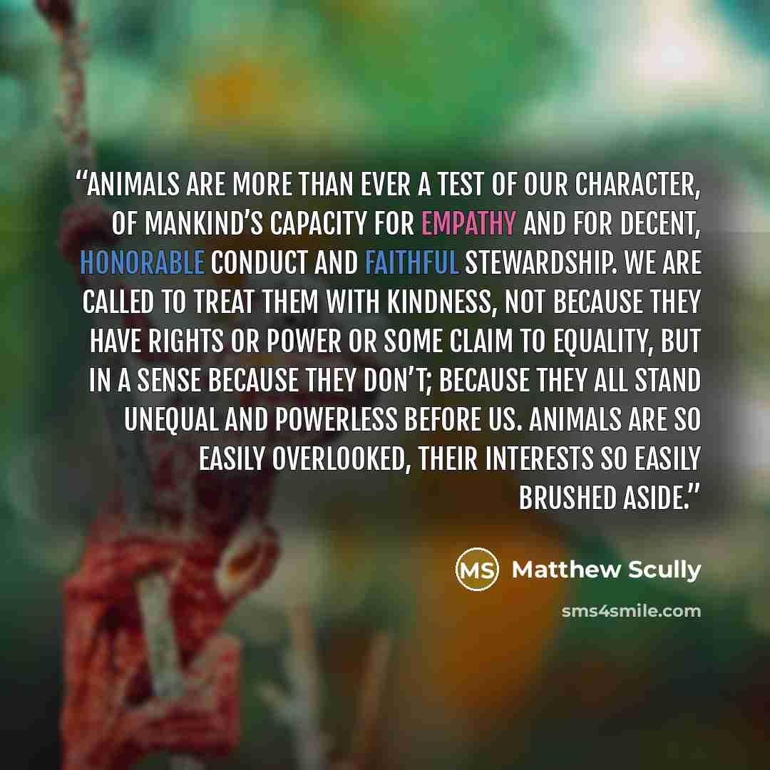 “Animals are more than ever a test of our character, of mankind’s capacity for empathy and for decent, honorable conduct and faithful stewardship. We are called to treat them with kindness, not because they have rights or power or some claim to equality, but in a sense because they don’t; because…” quote by Matthew Scully