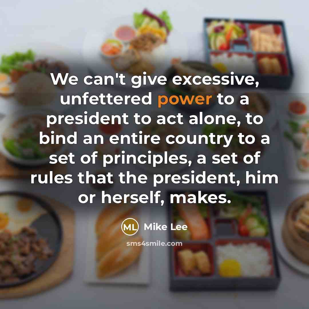 “We can't give excessive, unfettered power to a president to…” quote by Mike Lee