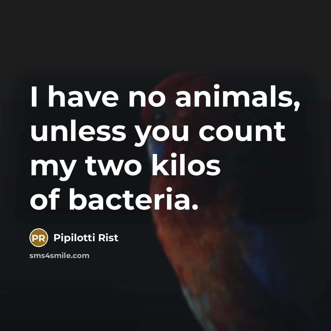 “I have no animals, unless you count my two kilos…” quote by Pipilotti Rist