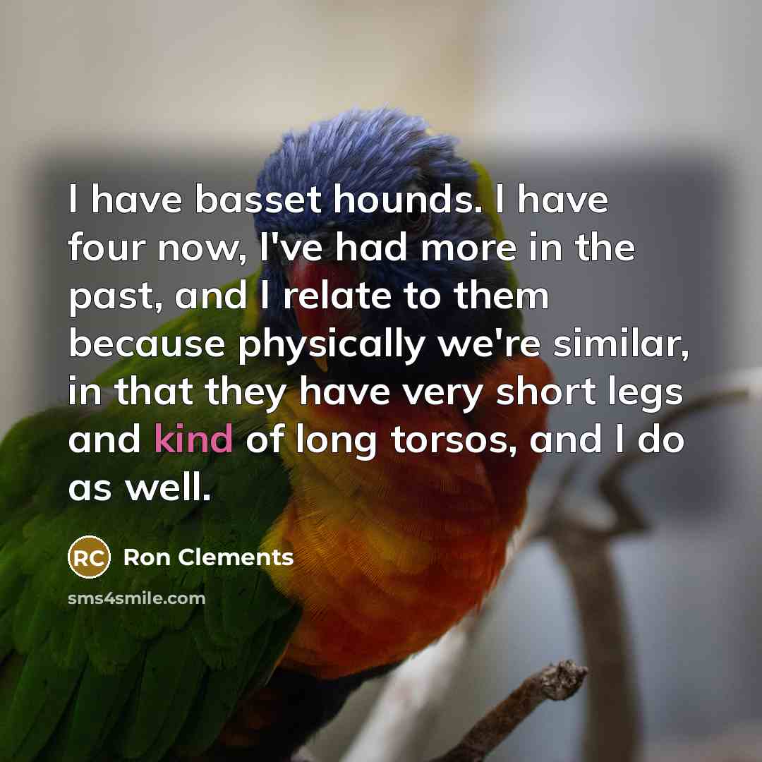 “I have basset hounds. I have four now, I've had more in the past, and I relate to them because physically we're similar, in that they have very short legs and kind of long torsos, and I do as well.” quote by Ron Clements