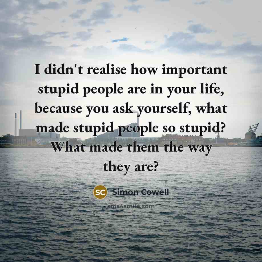 “I didn't realise how important stupid people are in your…” quote by Simon Cowell