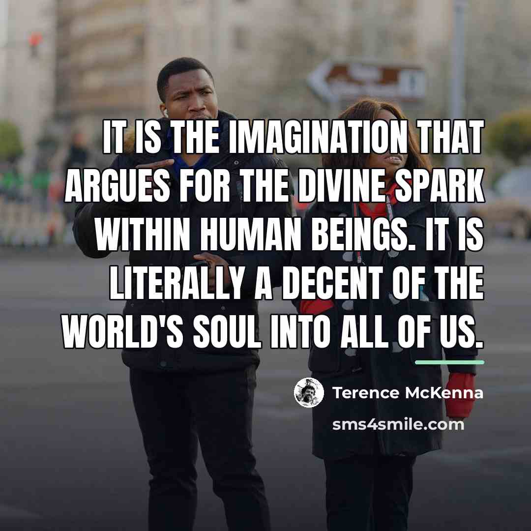 “It is the imagination that argues for the Divine Spark…” quote by Terence McKenna