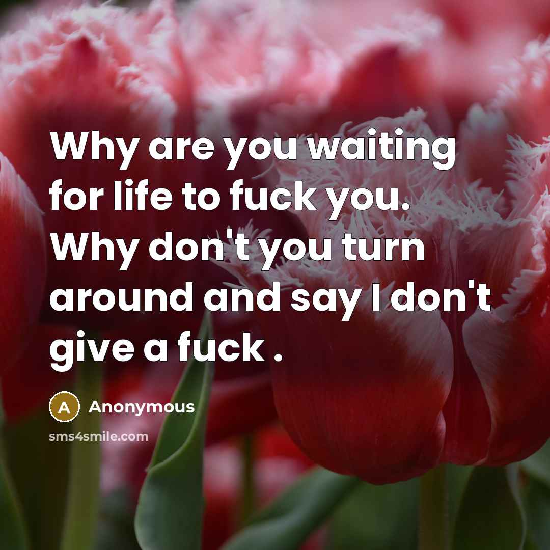 “Why are you waiting for life to fuck you. Why don't you turn around and say I don't give a fuck .” quote by Anonymous