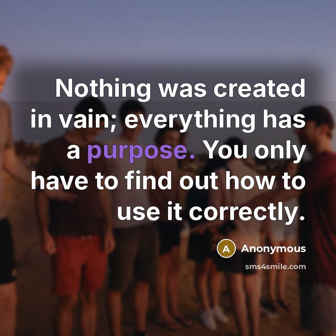 “Nothing was created in vain; everything has a purpose. You only have to find out how to use it correctly.” quote by Anonymous
