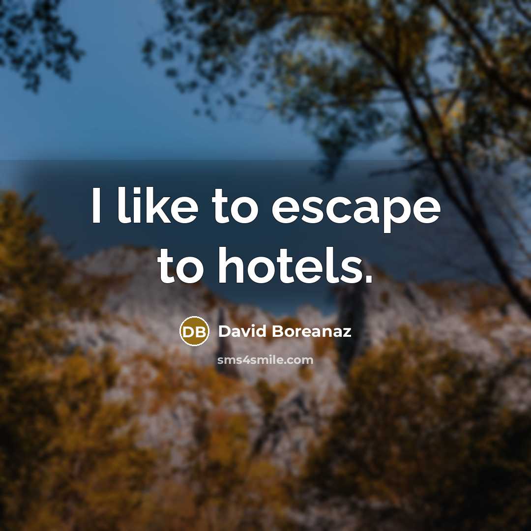 “I like to escape to hotels.…” quote by David Boreanaz