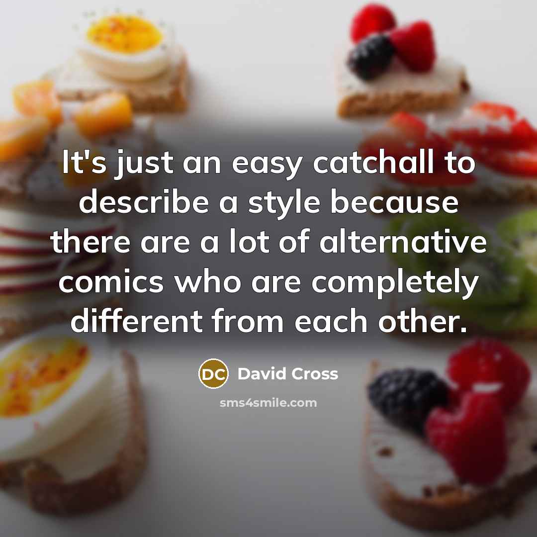 “It's just an easy catchall to describe a style because there are a lot of alternative comics who are completely different from each other.” quote by David Cross