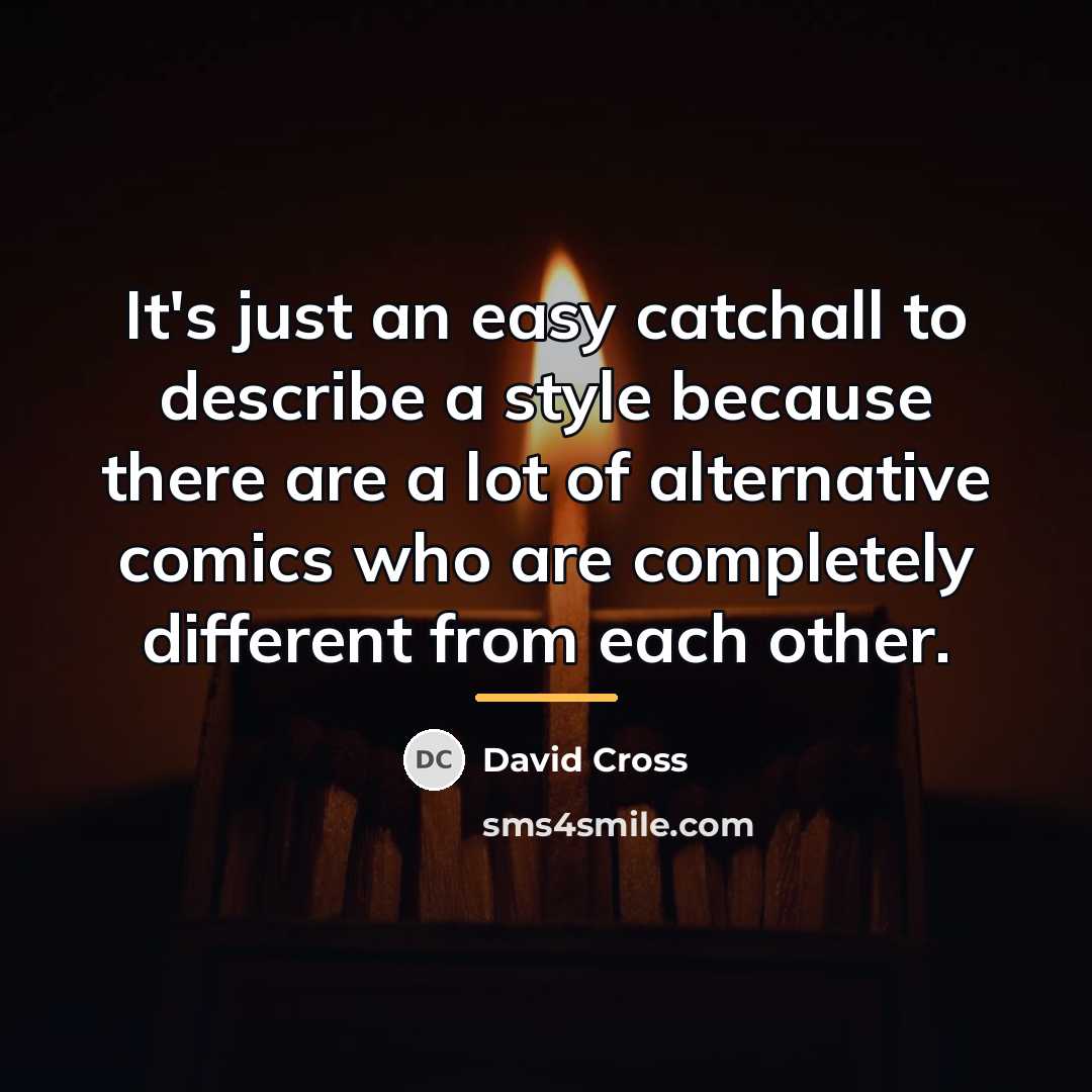 “It's just an easy catchall to describe a style because…” quote by David Cross