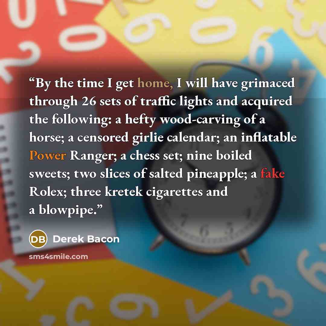 “By the time I get home, I will have grimaced through 26 sets of traffic lights and acquired the following: a hefty wood-carving of a horse; a censored girlie calendar; an inflatable Power Ranger; a chess set; nine boiled sweets; two slices of salted pineapple; a fake Rolex; three kretek cigarettes…” quote by Derek Bacon