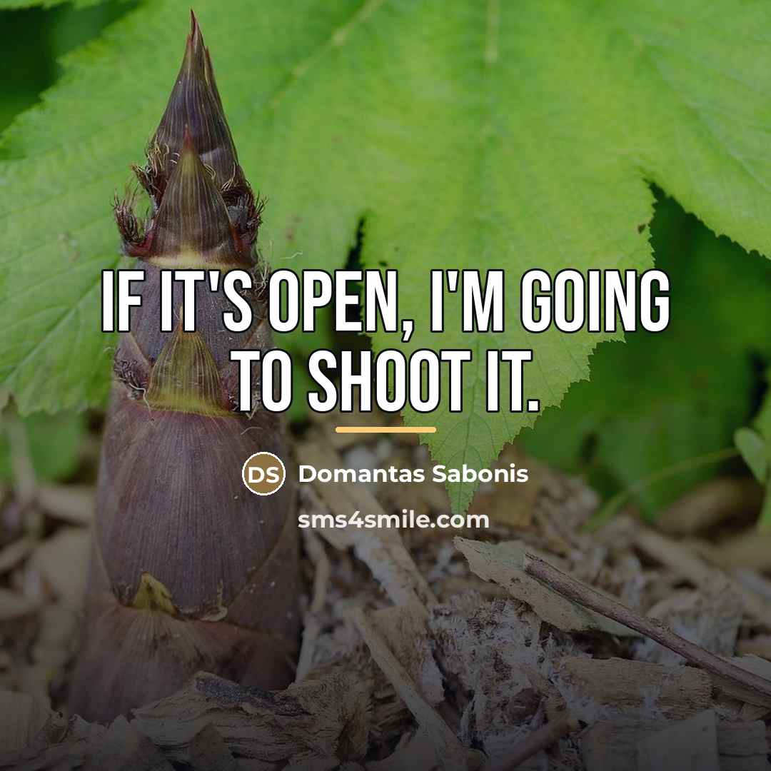 “If it's open, I'm going to shoot it.…” quote by Domantas Sabonis