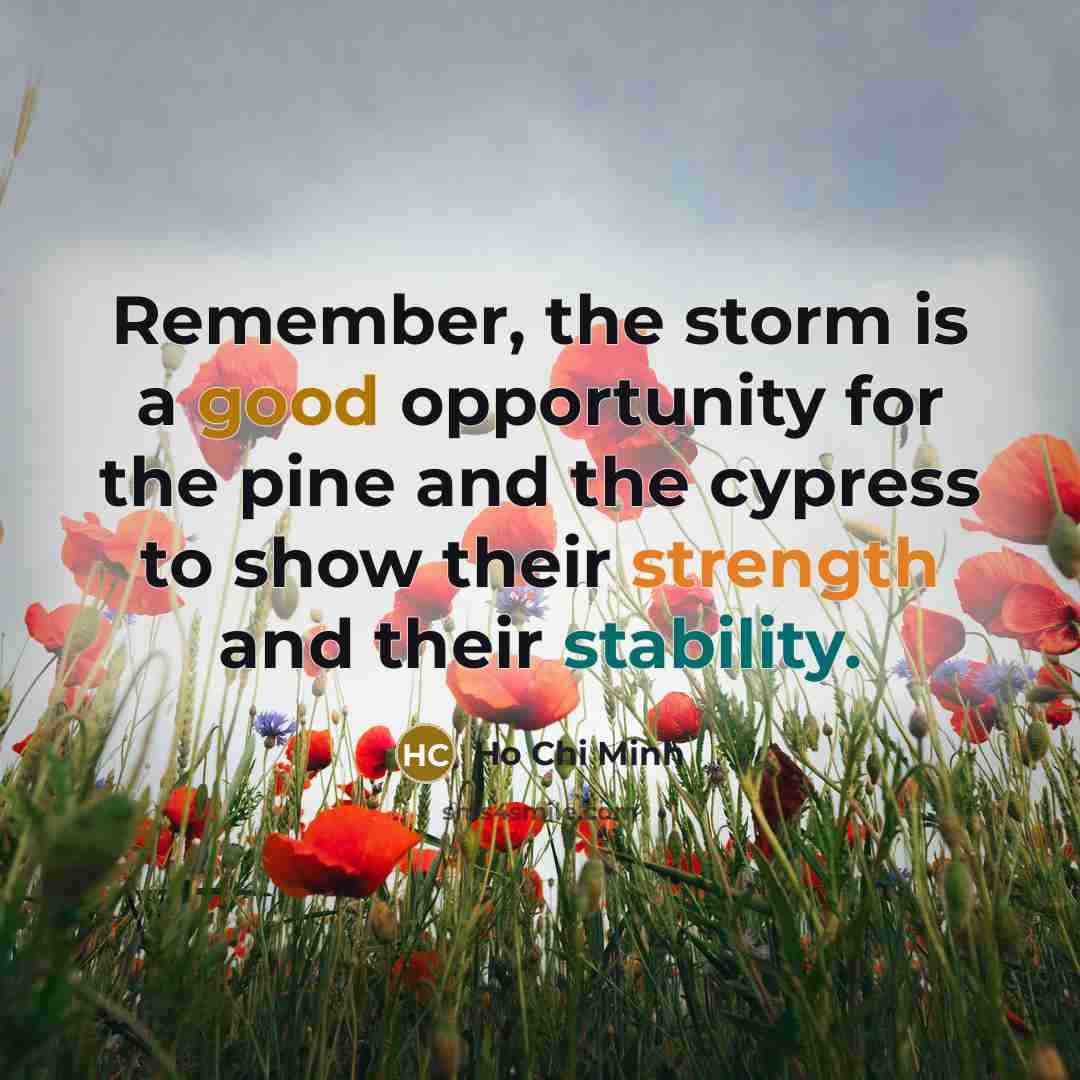 “Remember, the storm is a good opportunity for the pine and the cypress to show their strength and their stability.” quote by Ho Chi Minh
