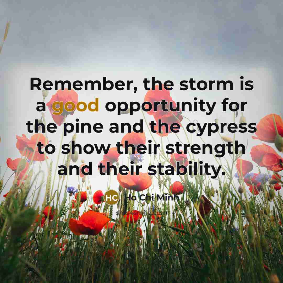 “Remember, the storm is a good opportunity for the pine…” quote by Ho Chi Minh