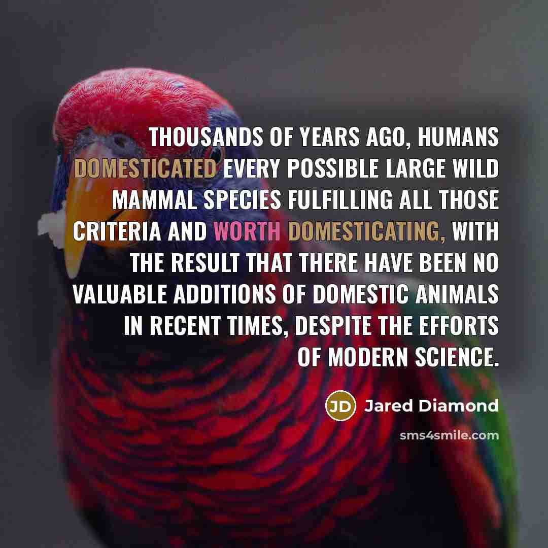 “Thousands of years ago, humans domesticated every possible large wild…” quote by Jared Diamond
