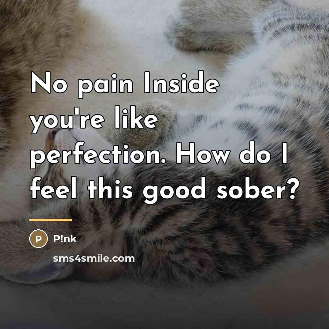 “No pain Inside you're like perfection. How do I feel…” quote by P!nk