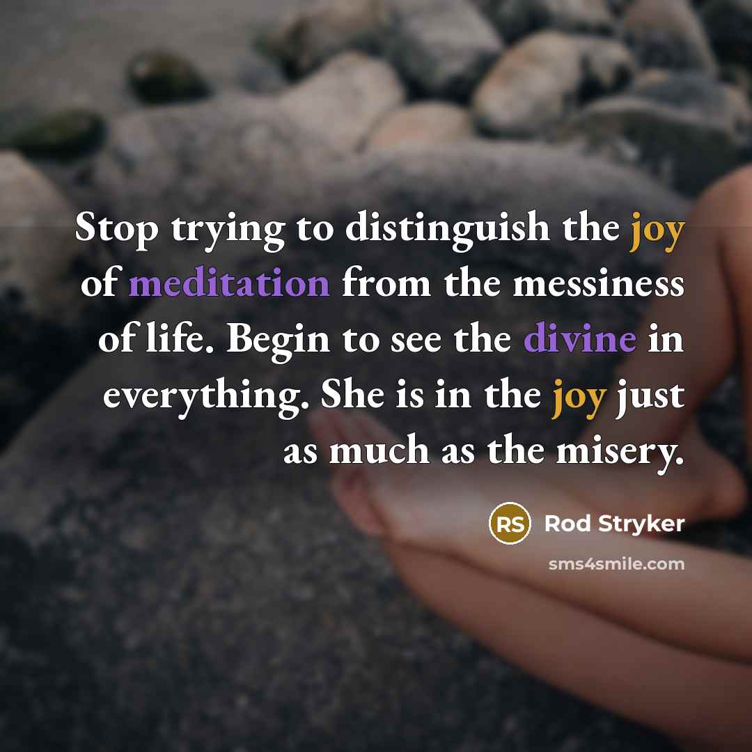 “Stop trying to distinguish the joy of meditation from the…” quote by Rod Stryker