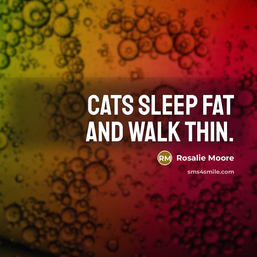 “Cats sleep fat and walk thin.” quote by Rosalie Moore