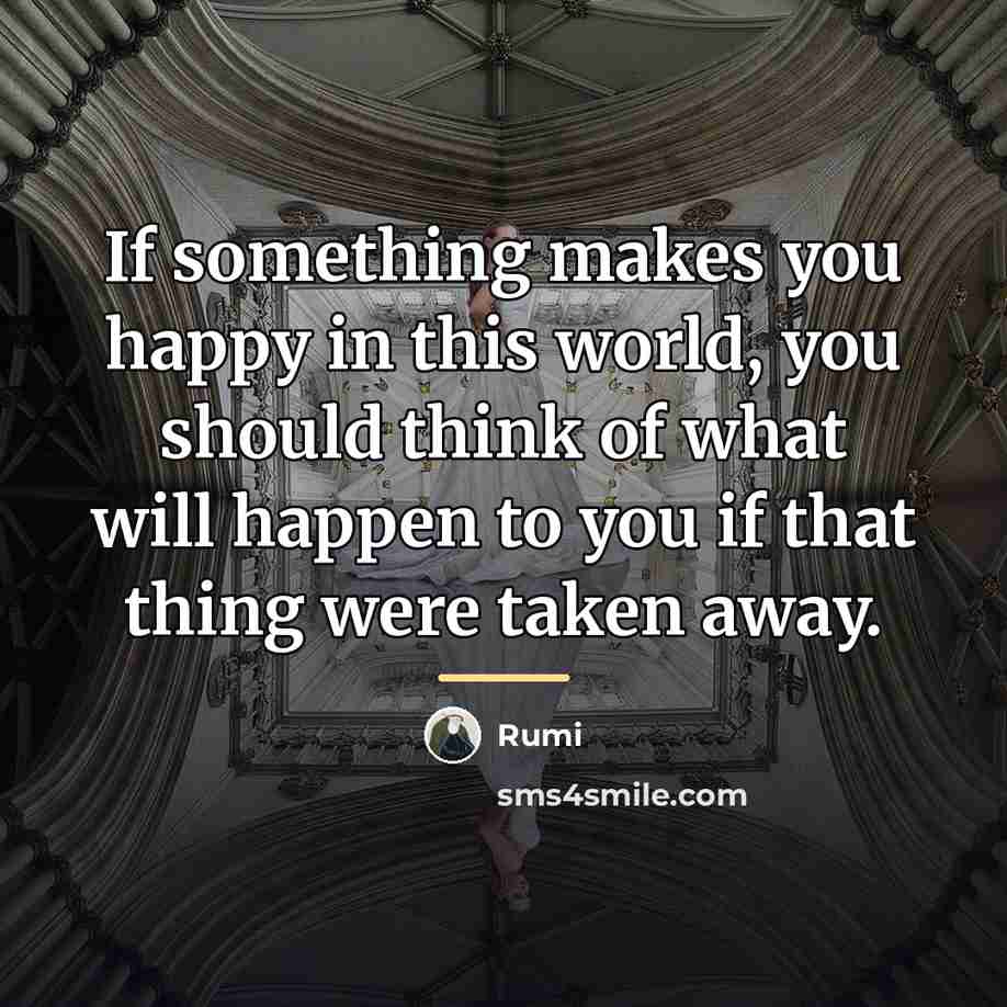 “If something makes you happy in this world, you should…” quote by Rumi