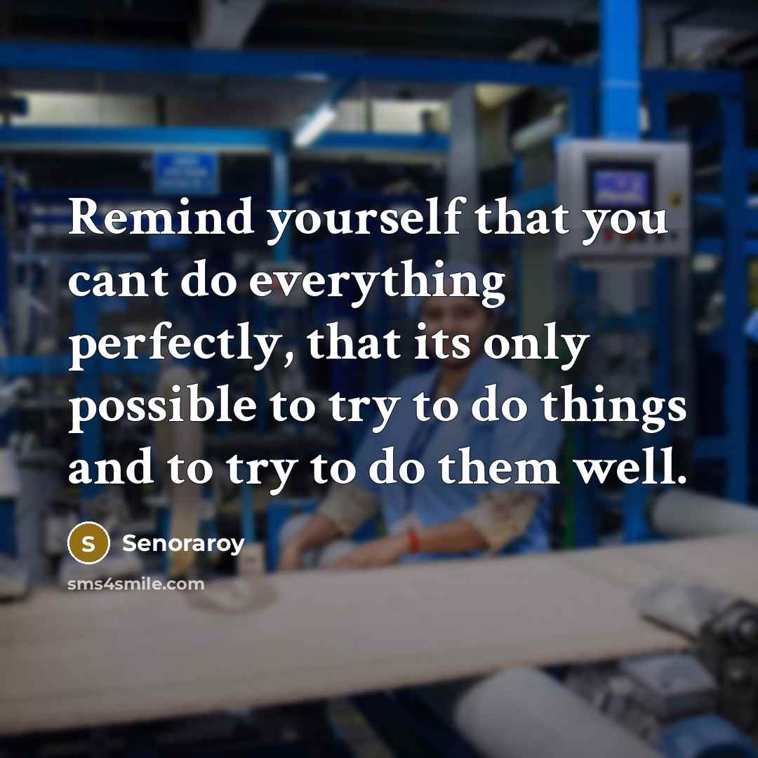 “Remind yourself that you cant do everything perfectly, that its only possible to try to do things and to try to do them well.” quote by Senoraroy