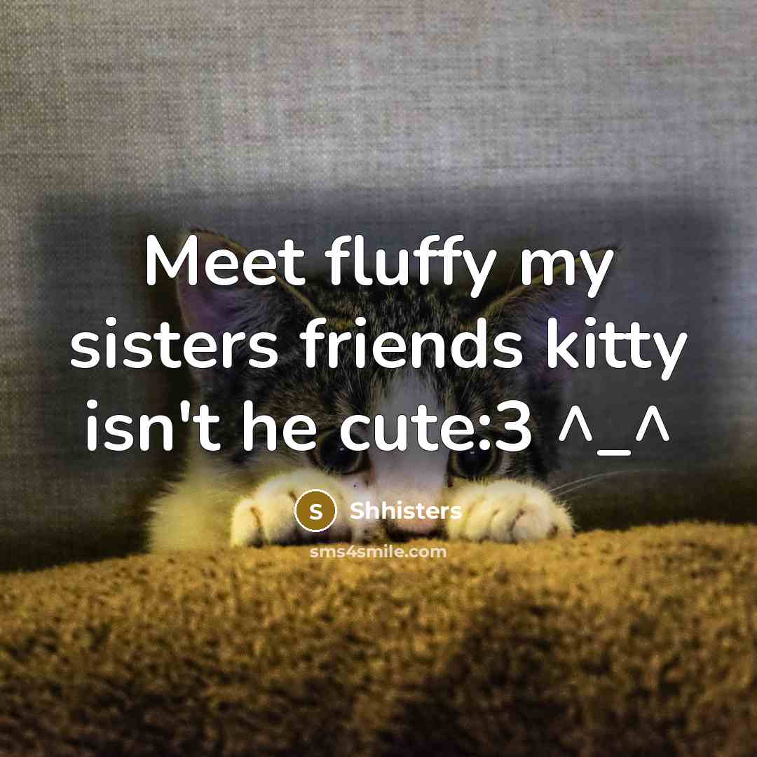“Meet fluffy my sisters friends kitty isn't he cute:3 ^_^…” quote by Shhisters