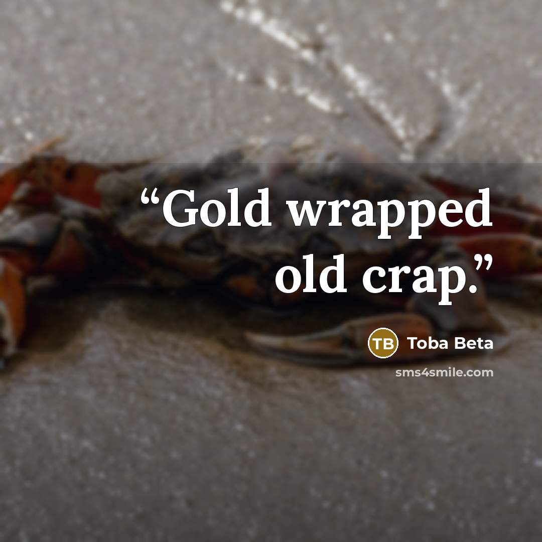 “Gold wrapped old crap.” quote by Toba Beta