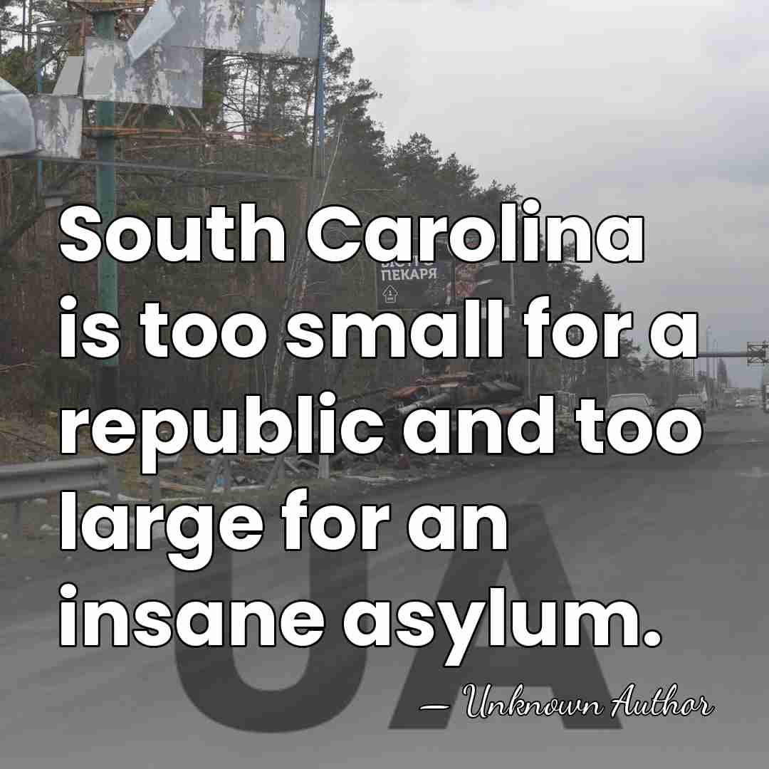 South Carolina is too small for a republic and too large for&hellip; - James L. Petigru