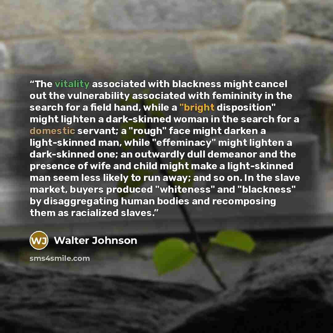 “The vitality associated with blackness might cancel out the vulnerability associated with femininity in the search for a field hand, while a "bright disposition" might lighten a dark-skinned woman in the search for a domestic servant; a "rough" face might darken a light-skinned man, while…” quote by Walter Johnson