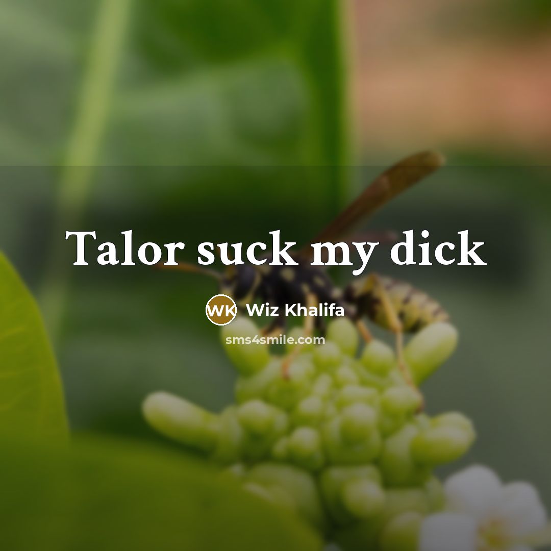 “Talor suck my dick…” quote by Wiz Khalifa