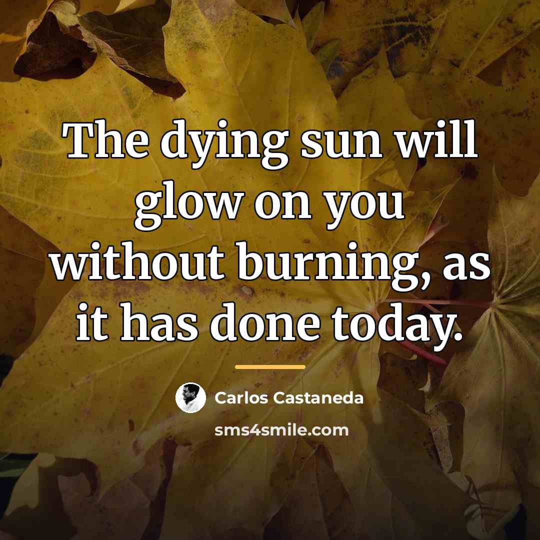 “The dying sun will glow on you without burning, as…” quote by Carlos Castaneda