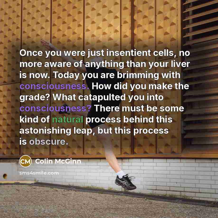 “Once you were just insentient cells, no more aware of…” quote by Colin McGinn
