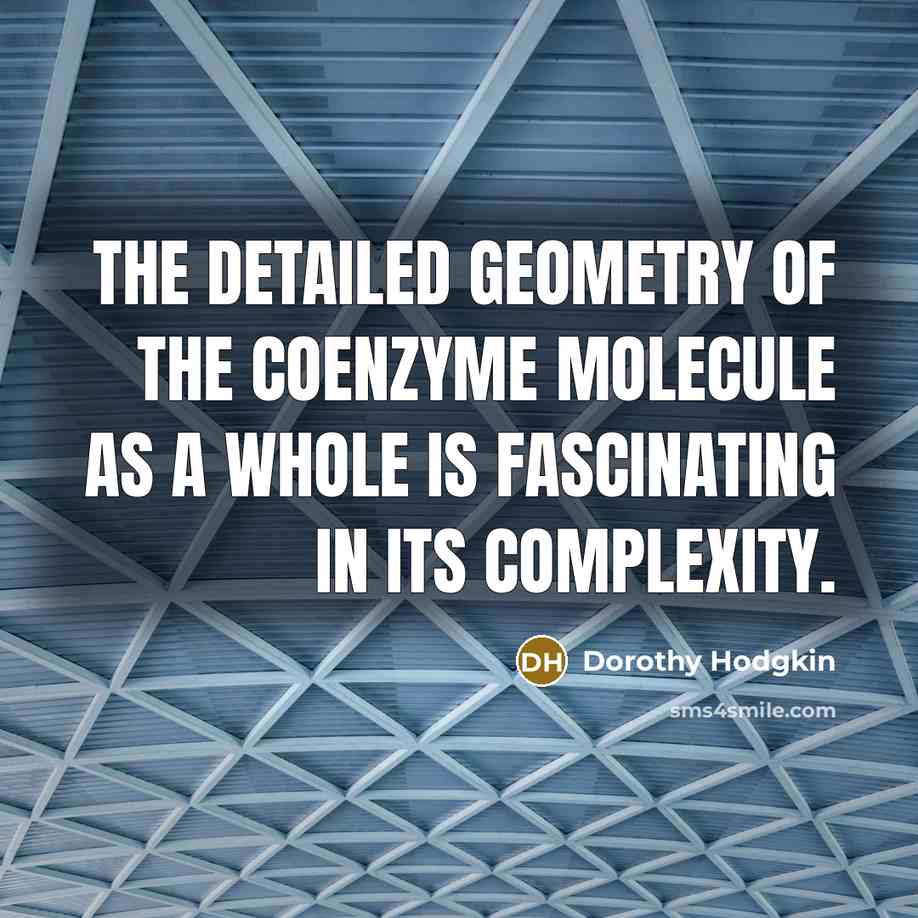 “The detailed geometry of the coenzyme molecule as a whole…” quote by Dorothy Hodgkin