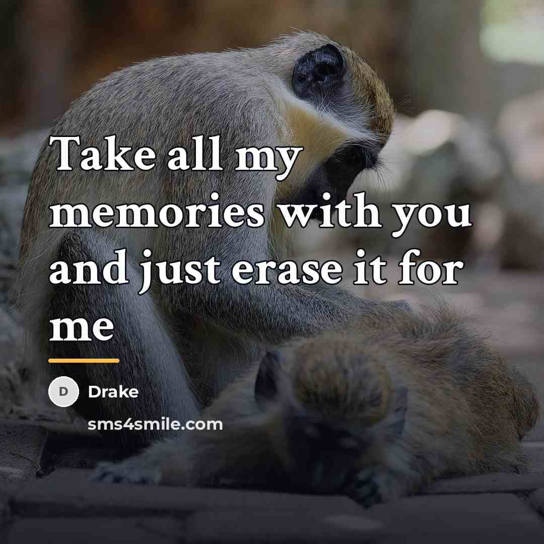 “Take all my memories with you and just erase it…” quote by Drake