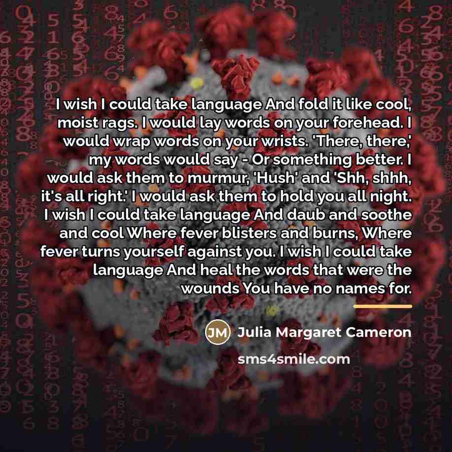 “I wish I could take language And fold it like…” quote by Julia Margaret Cameron