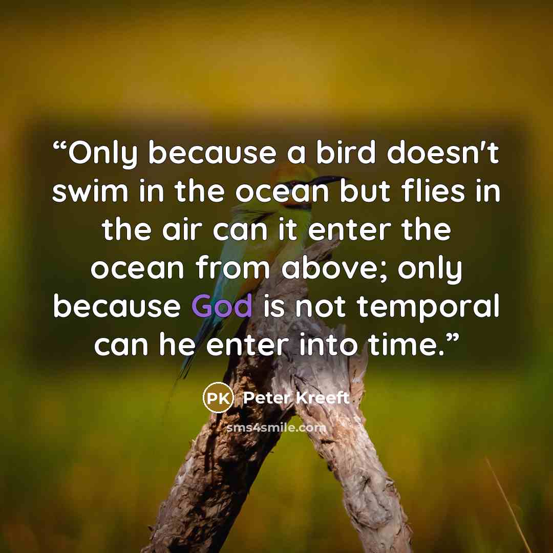 “Only because a bird doesn't swim in the ocean but flies in the air can it enter the ocean from above; only because God is not temporal can he enter into time.” quote by Peter Kreeft