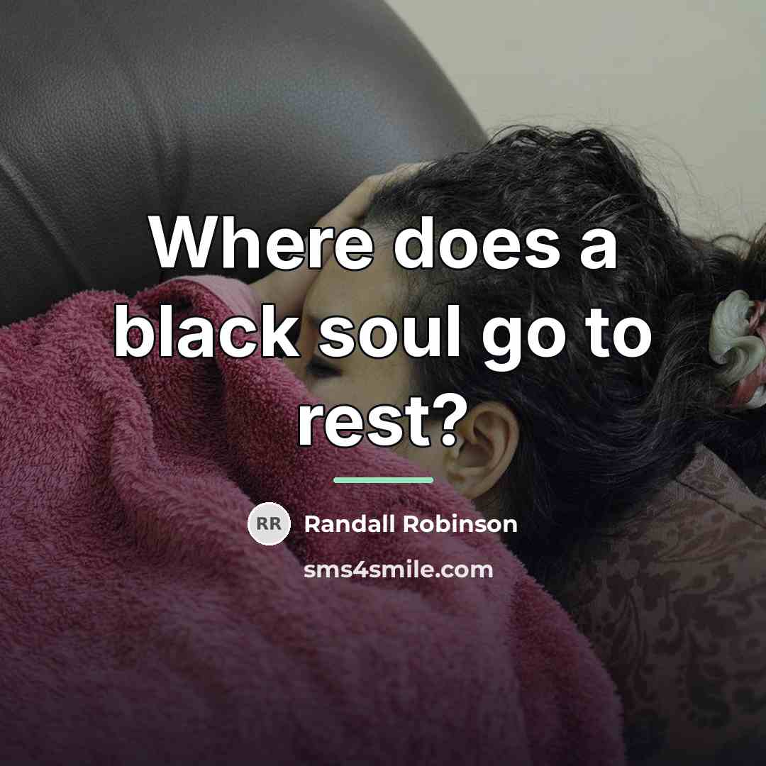 “Where does a black soul go to rest?…” quote by Randall Robinson