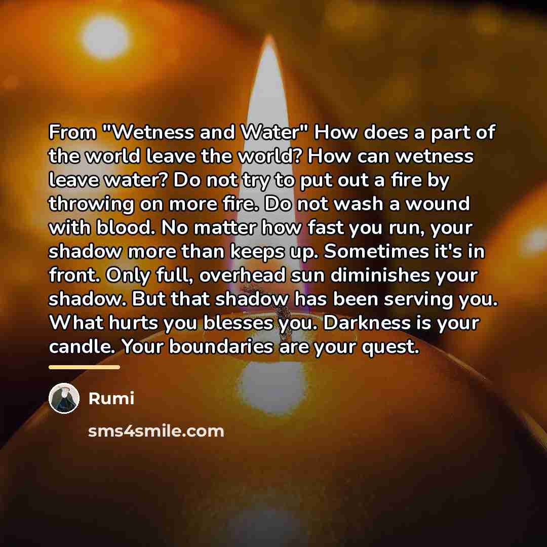 “From "Wetness and Water" How does a part of the…” quote by Rumi