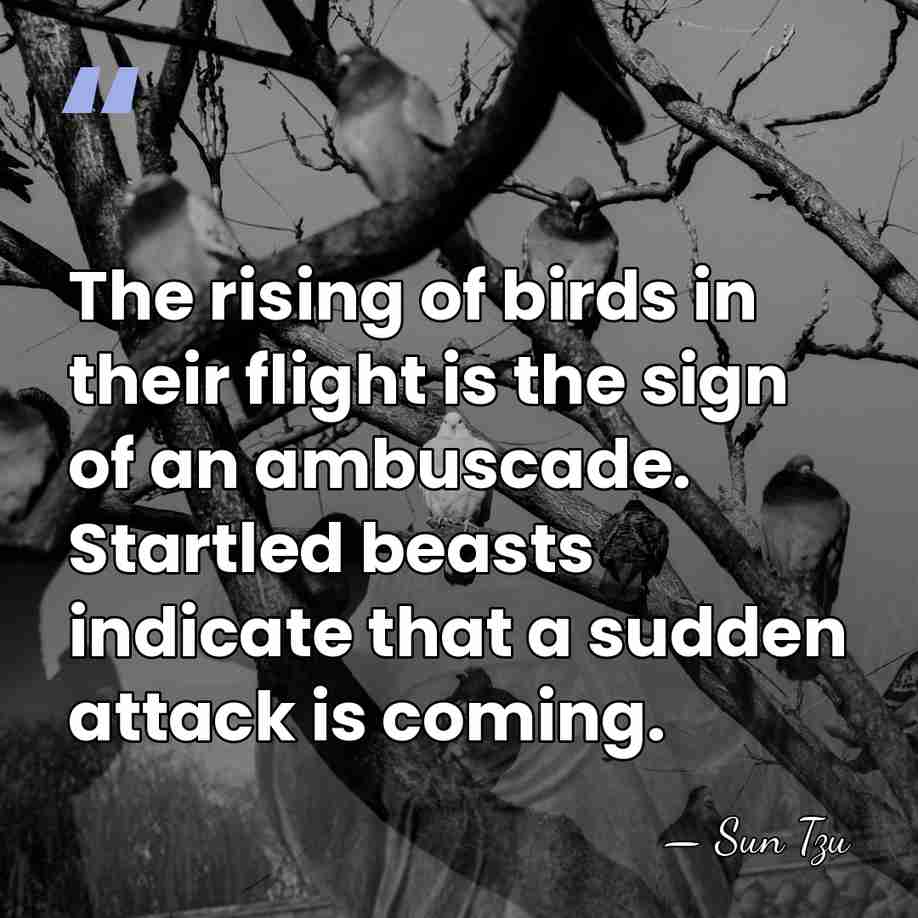The rising of birds in their flight is the sign of an&hellip; - Sun Tzu