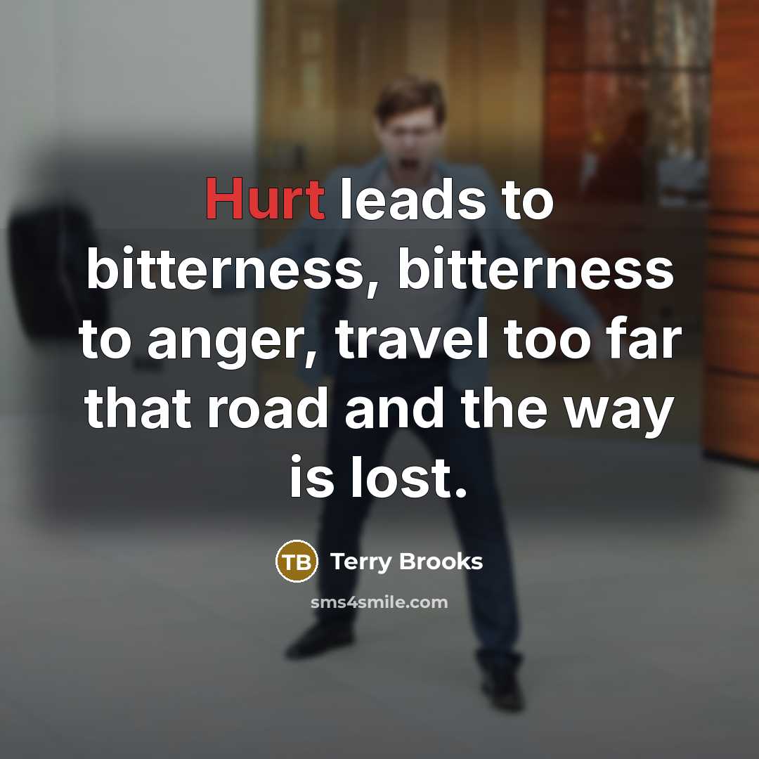 “Hurt leads to bitterness, bitterness to anger, travel too far…” quote by Terry Brooks