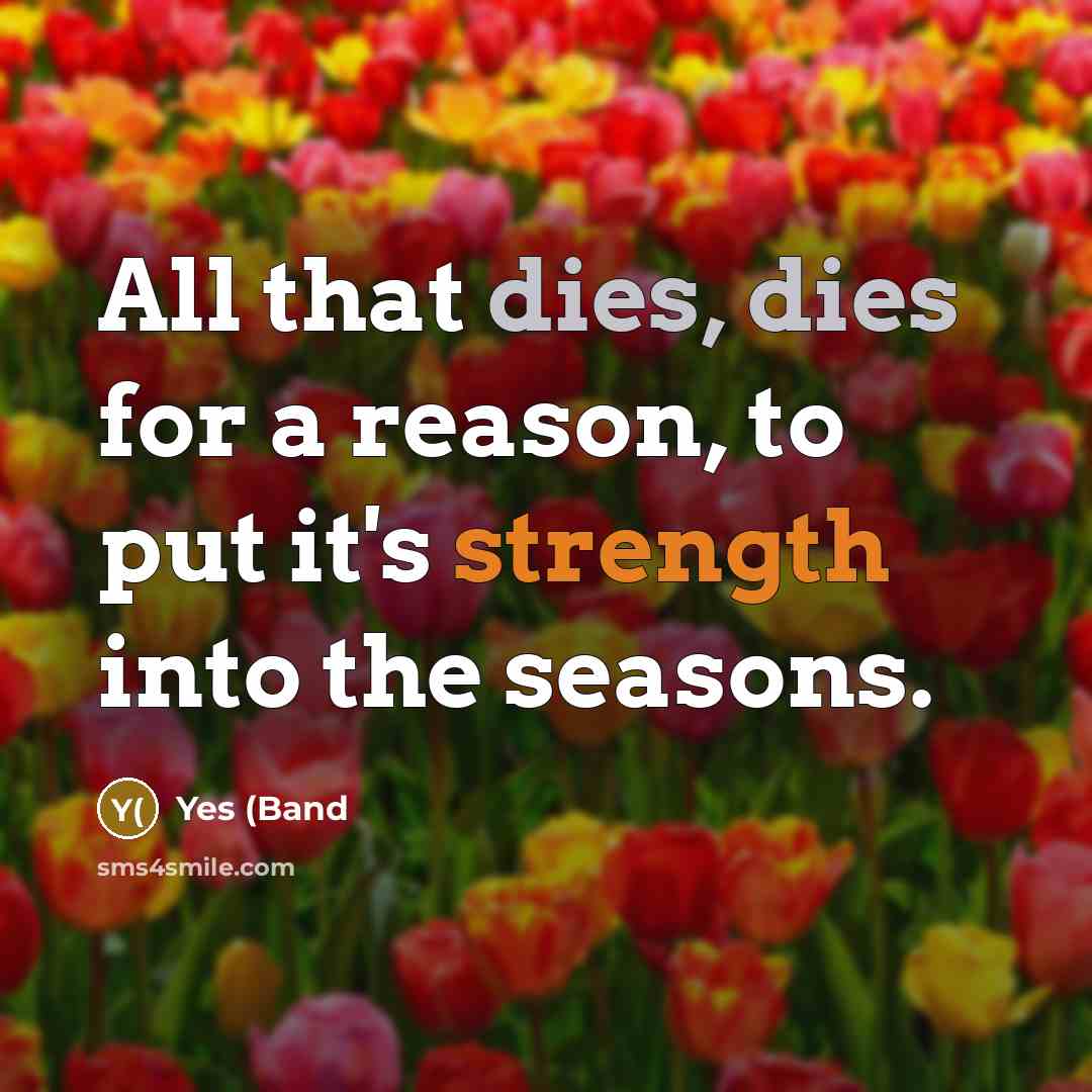 “All that dies, dies for a reason, to put it's strength into the seasons.” quote by Yes (Band