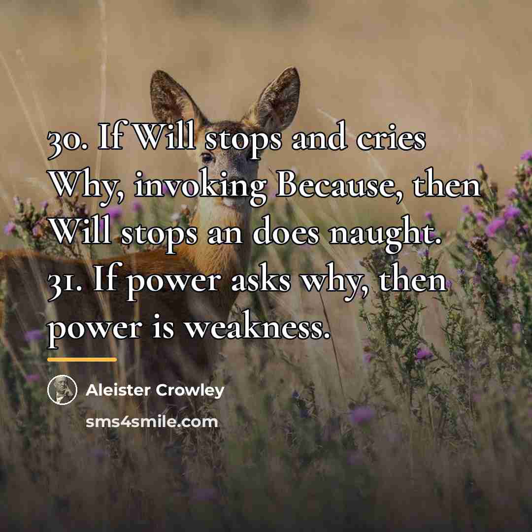 “30. If Will stops and cries Why, invoking Because, then…” quote by Aleister Crowley