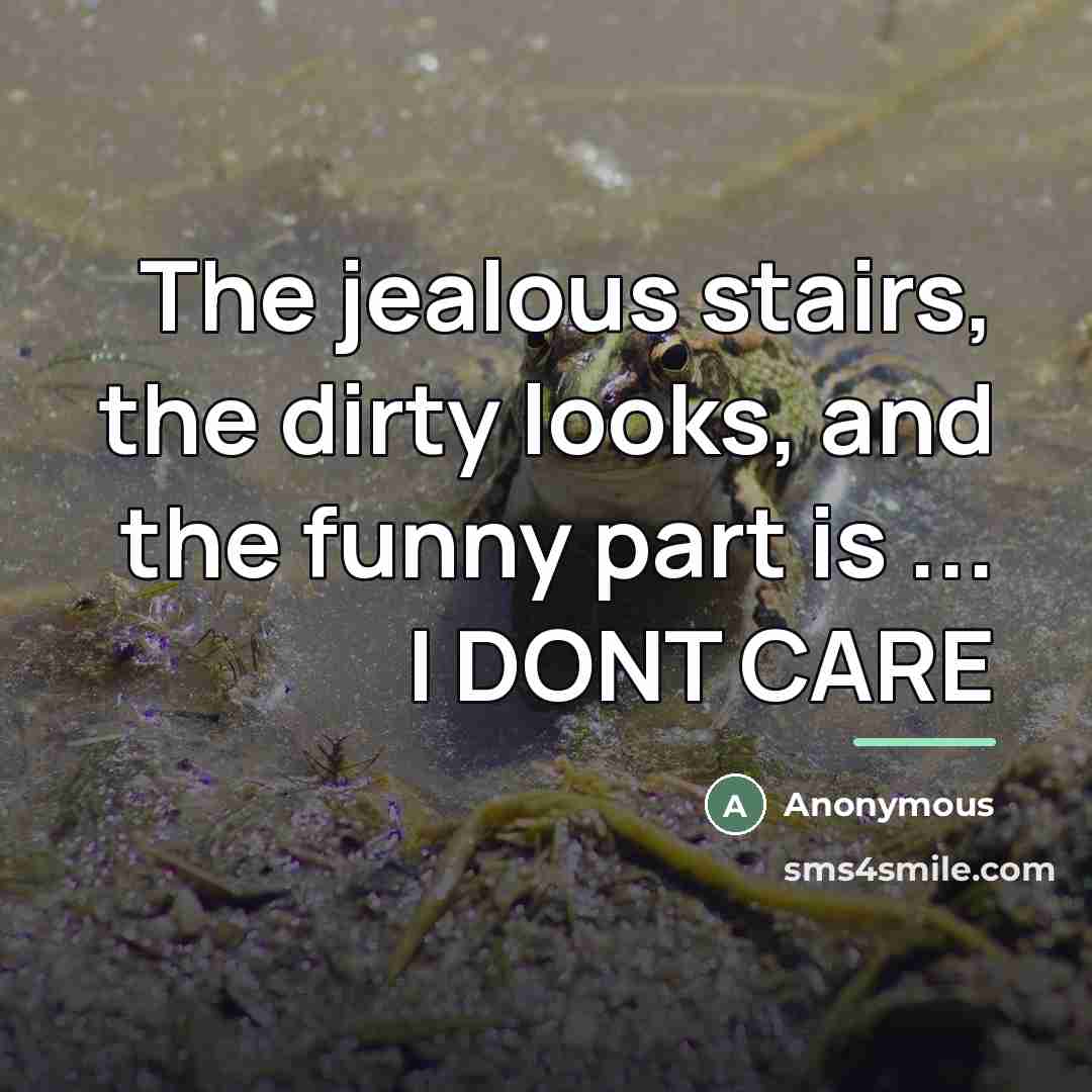 “The jealous stairs, the dirty looks, and the funny part is ... I DONT CARE” quote by Anonymous