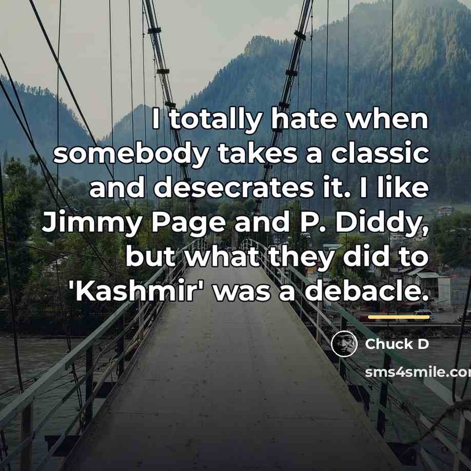 “I totally hate when somebody takes a classic and desecrates…” quote by Chuck D