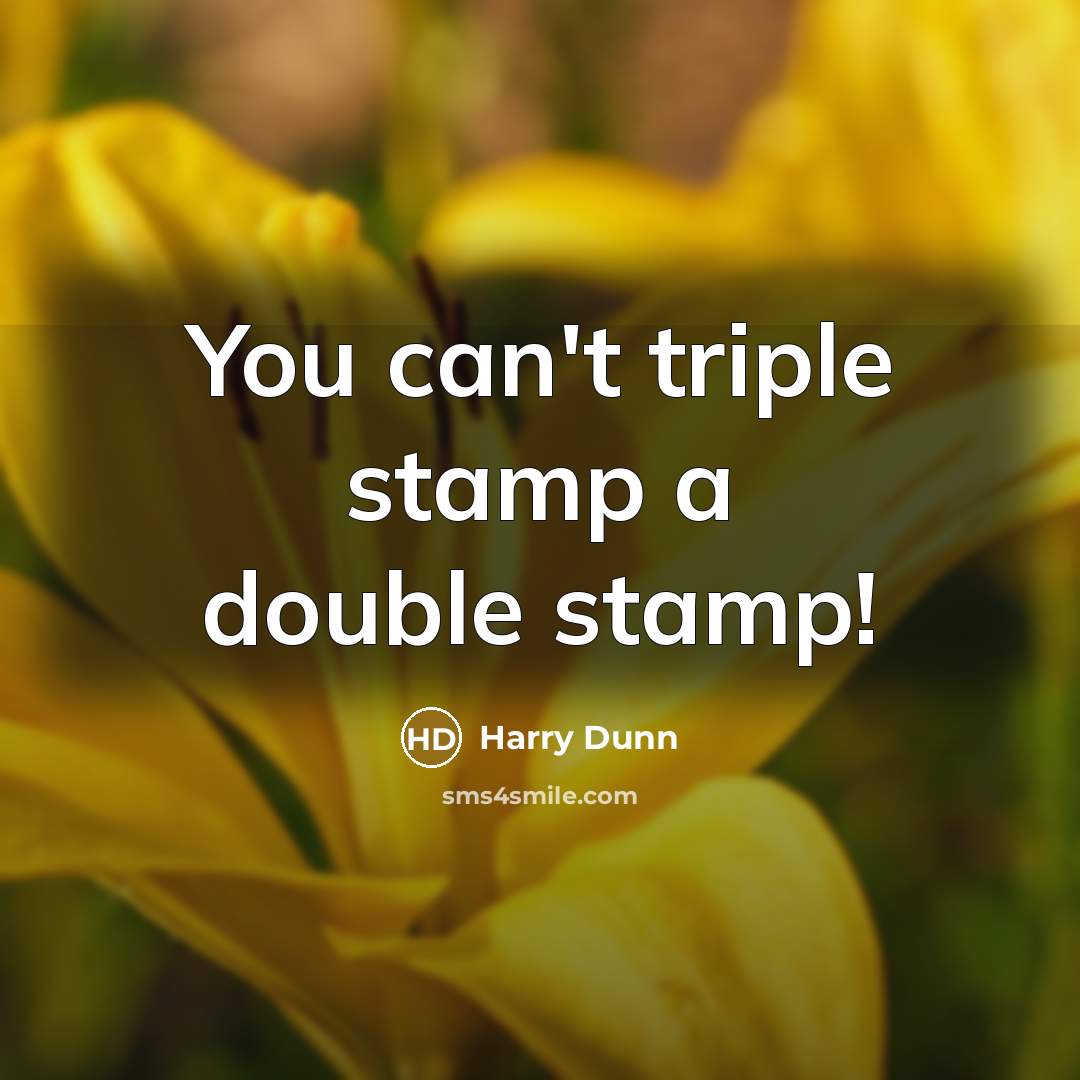 “You can't triple stamp a double stamp!…” quote by Harry Dunn