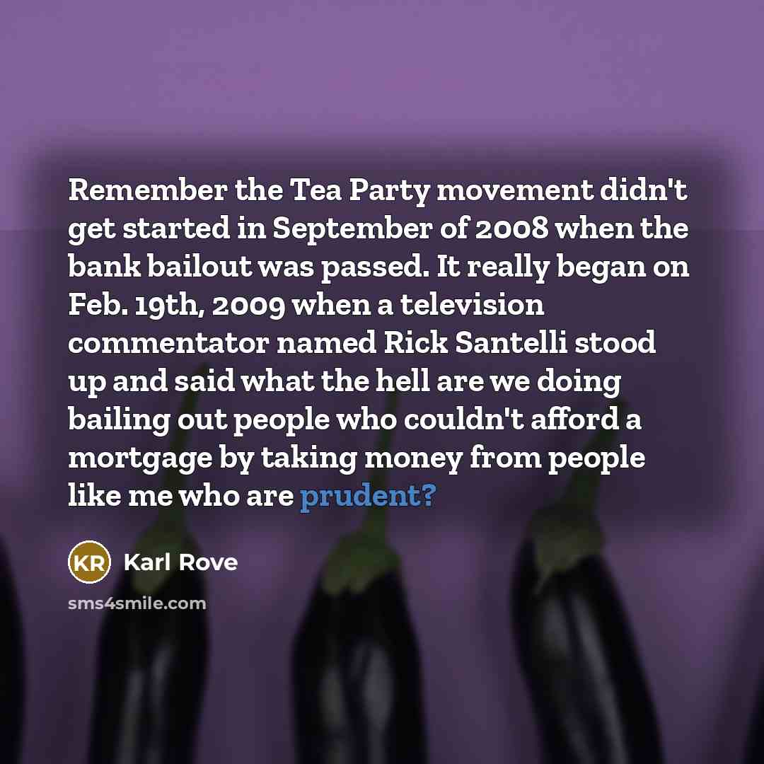 “Remember the Tea Party movement didn't get started in September…” quote by Karl Rove