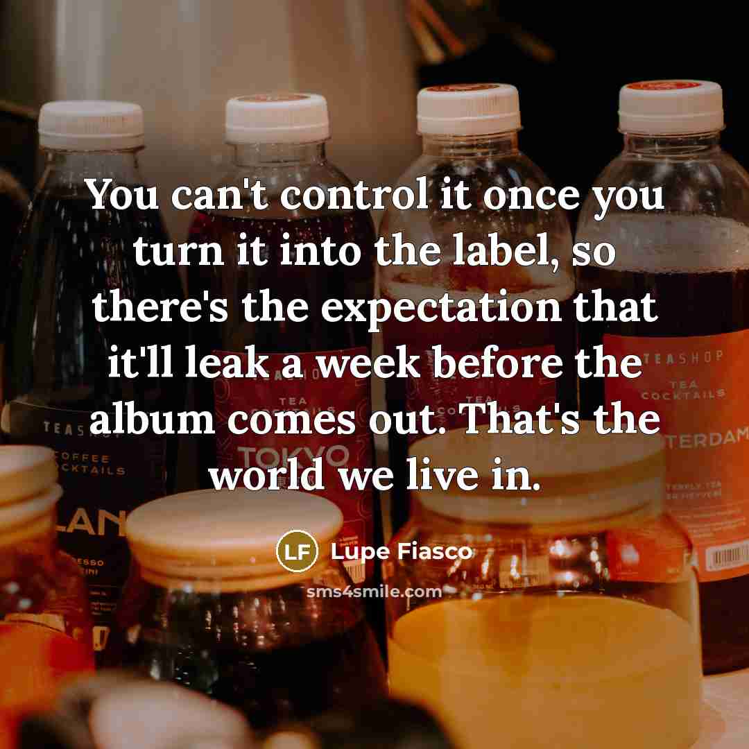 “You can't control it once you turn it into the…” quote by Lupe Fiasco