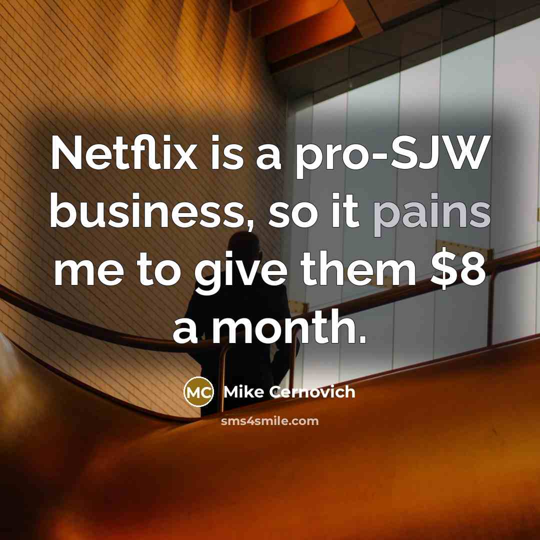 “Netflix is a pro-SJW business, so it pains me to…” quote by Mike Cernovich