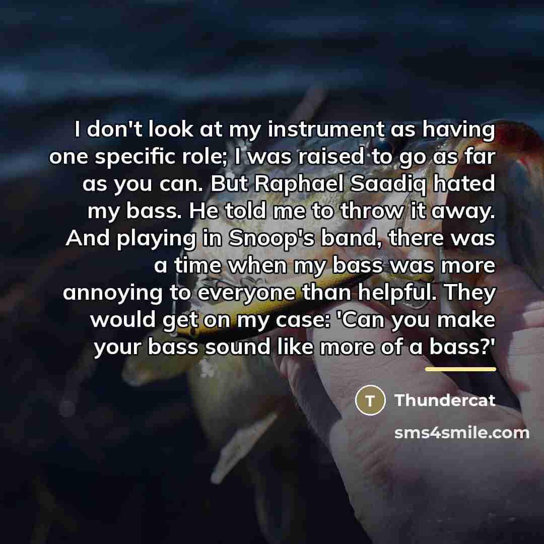 “I don't look at my instrument as having one specific…” quote by Thundercat