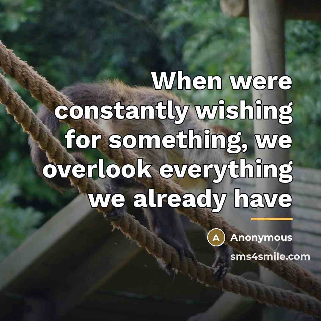 “When were constantly wishing for something, we overlook everything we…” quote by Anonymous