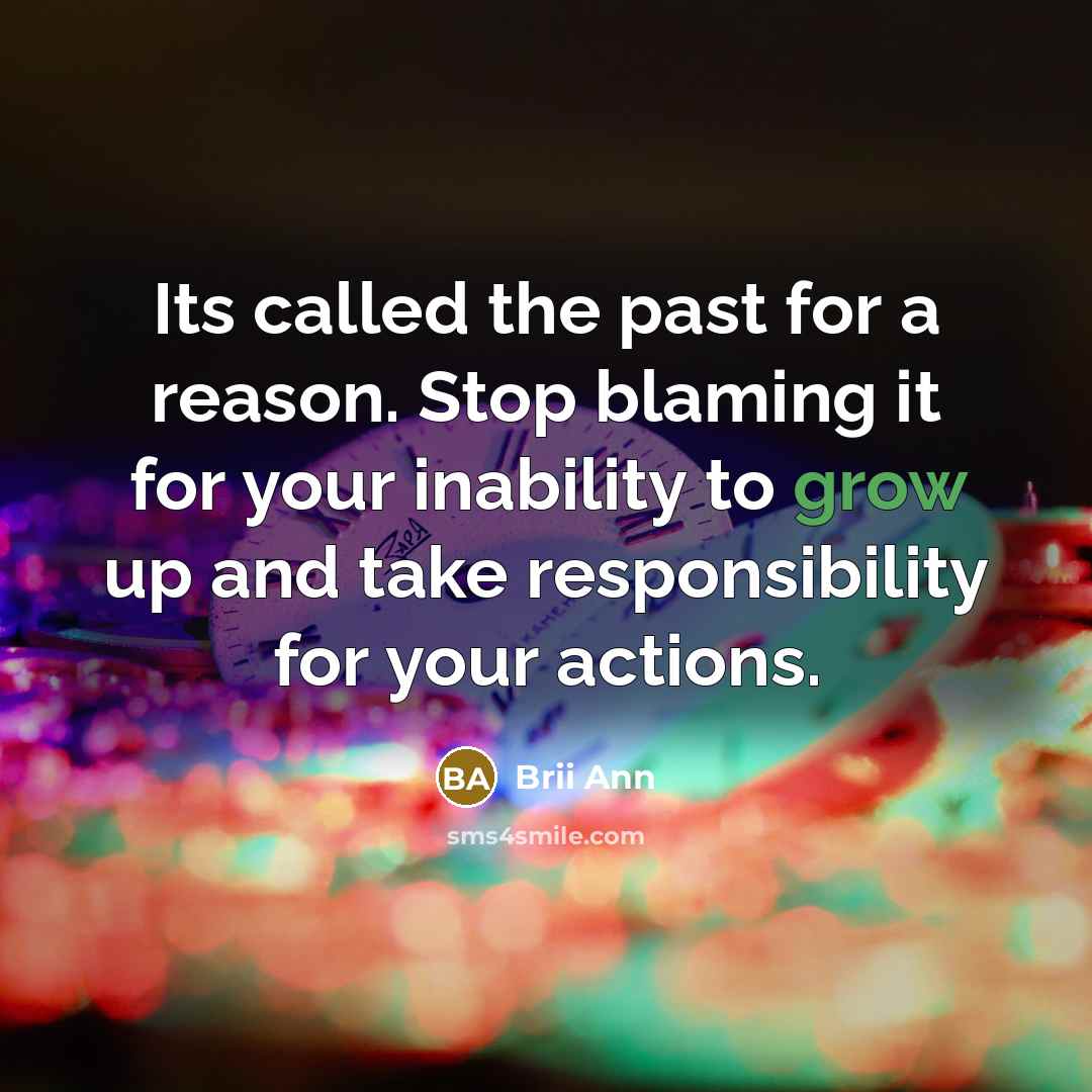 “Its called the past for a reason. Stop blaming it for your inability to grow up and take responsibility for your actions.” quote by Brii Ann