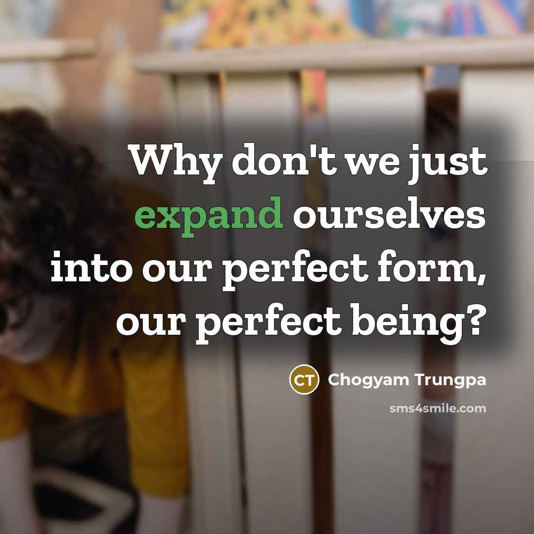 “Why don't we just expand ourselves into our perfect form, our perfect being?” quote by Chogyam Trungpa