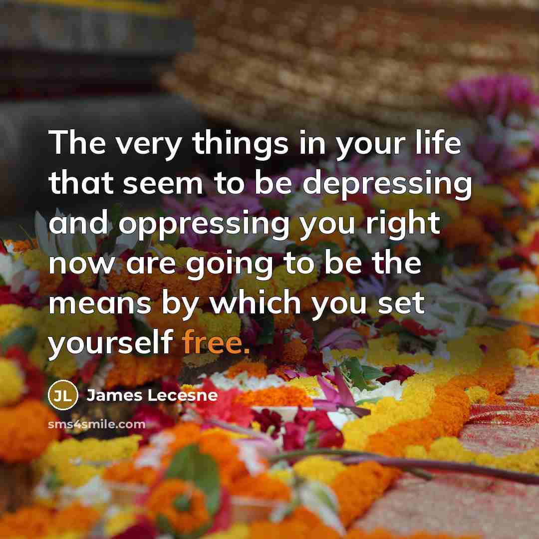 “The very things in your life that seem to be…” quote by James Lecesne
